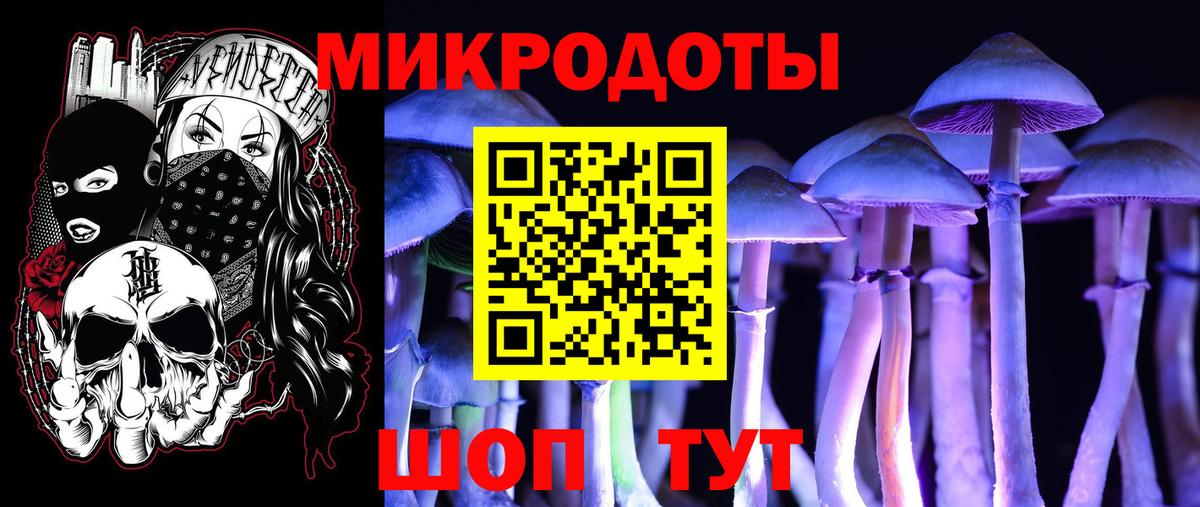Зеленодольск  Псилоцибиновые грибы мицелий  Вход с VPN 